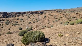 2024-02-GranCan-Playa Del Aguila-Trek-69.jpg